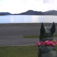 お天気が良ければマリリンと阿嘉島に沈む夕日が見られます