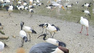 子供連れにお勧めです