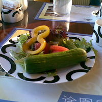 朝食バイキングのサラダバー。ｷｭｳﾘがでかすぎ。