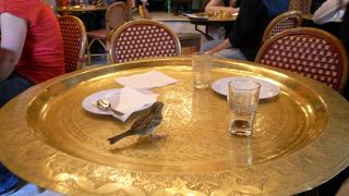 気軽にイスラム文化に触れられる