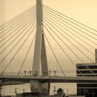 部屋からの眺め、ベイブリッジ