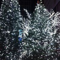 クリスマスイルミネーションがキレイでした!