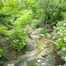 小川が流れています