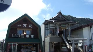 裏のお花畑で熊出没！