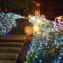 エントランスへの歩道も装飾されていました