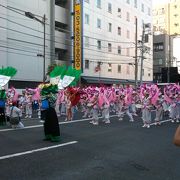 老若男女が踊る！夏の祭典！