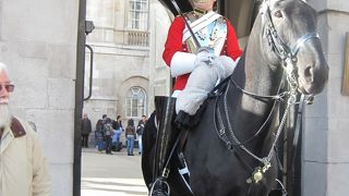 衛兵の歴史、役割が判ります。