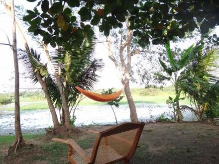 レイク ウェイブ ホテル 写真