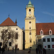 テレジアイエロー