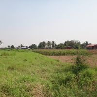 宿の近所、こんなんばっか