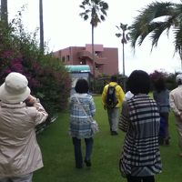 朝のお庭散歩開始です