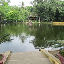 ホーチミンの家と池