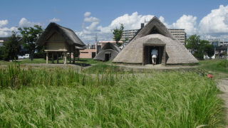 静岡に行ったらぜひ立ち寄りたい