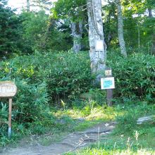 清岳荘そばの登山道入り口