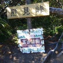 登山道途中の熊見峠