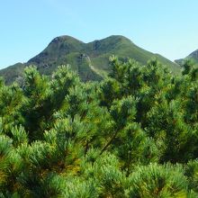 登山道途中から見る斜里岳