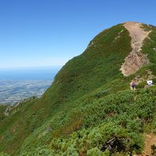 歩き易い尾根道もあります