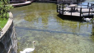 カップルにおすすめ