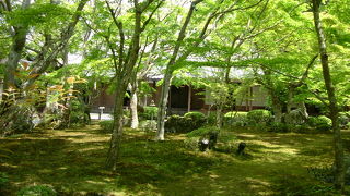 詩仙堂や金福寺とか、曼殊院と一緒に回ると効率的です