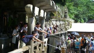 どれにしようか