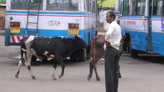 鉄道の方が安全です