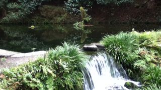 水が澄んでいてきれいでした