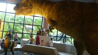 動く恐竜の展示がある