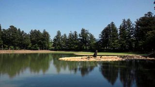 庭園の池は大きいです