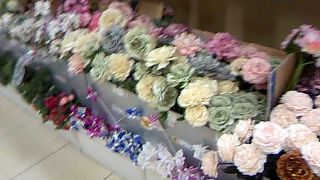 ここに来ればみつかるかも？！