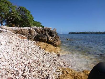 ル メルー ブルー 写真