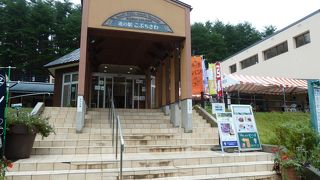 新鮮な高原野菜が安い　