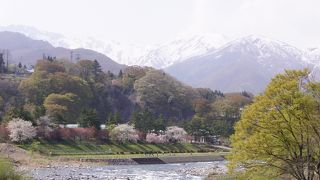 春の花の季節は最高