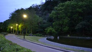 レンタサイクルでまわると気持ちいい！