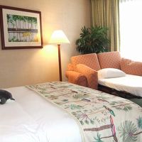 キングサイズベッド＋ソファーベッドで４名寝ました