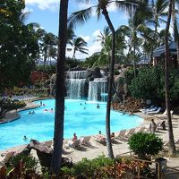 毎日　違うプールで楽しめます