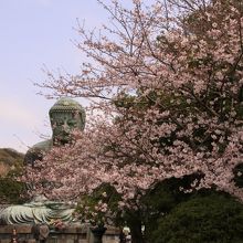 朝9時半頃はまだ人もまばら
