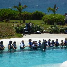 全員、腰まで浸かります！