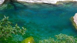 綺麗な水の色でした。