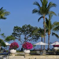 プール庭が綺麗