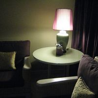 ソファーは座り心地よかった。