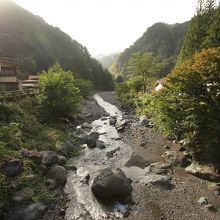 離れへ渡るつり橋の上から