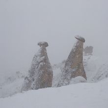 かろうじて取れた画像です