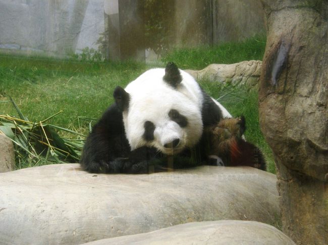 オーシャンパーク (海洋公園)