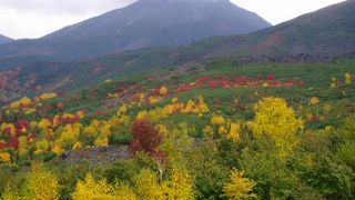 秋の紅葉も必見