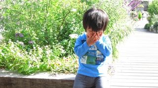 大きくない、のんびり空港