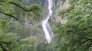 けっこう楽しめました。