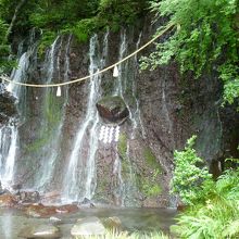 緑と滝が涼しいです