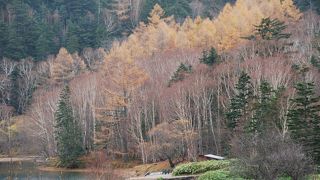 霧の中に浮かぶ幻想的な景色