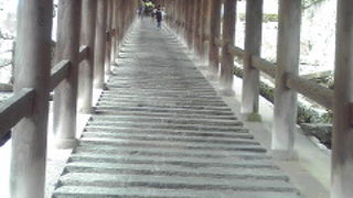 木の回廊が美しい