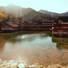 厳島神社を取り囲む潮溜まり